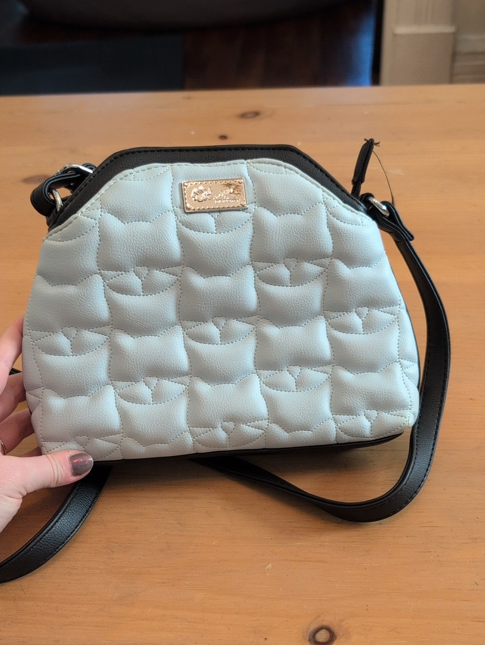 Betsy Johnson Cat Light Blue Crossbody with Black Trim and Silver Plate Accent